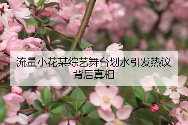 流量小花某综艺舞台划水引发热议背后真相