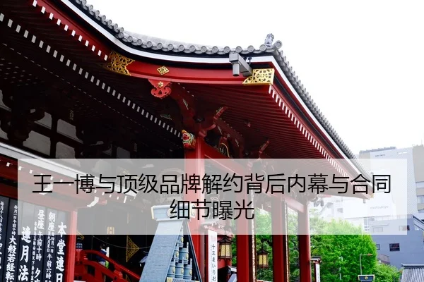 wang-yi-bo-yu-ding-ji-pin-pai-jie-yue-bei-hou-nei-mu-yu-he-tong-xi-jie-bao-guang-2-416.jpg